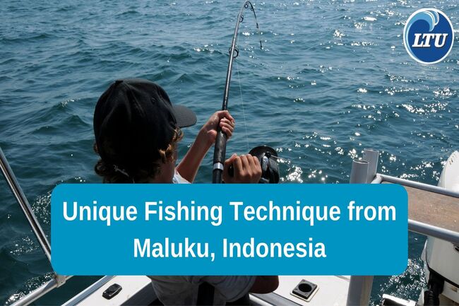 Unique Fishing Technique from Maluku, Indonesia